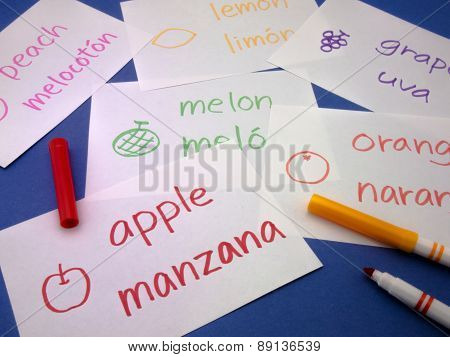 Making Language Flash Cards; Spanish