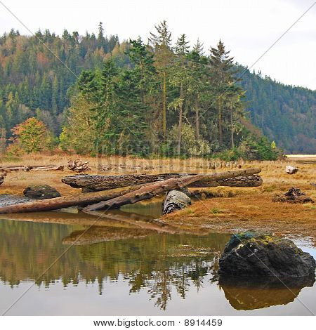 Olympic Peninsula Landscape