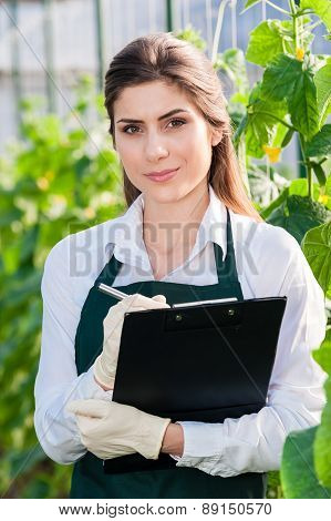 Bio technician inspecting cucumber plants in greenhouse