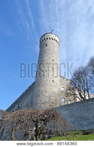 Pikk Hermann Tower In Tallinn.