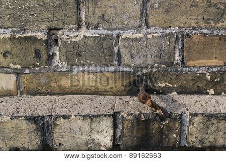 Old Yellow Brick Closeup