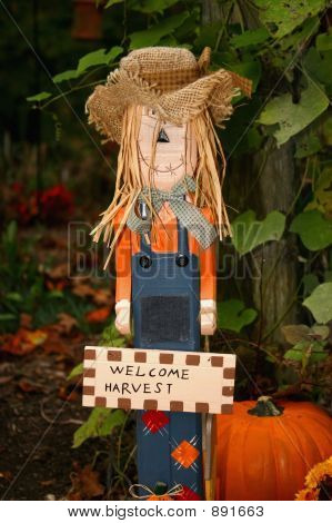 Zapraszamy zbiorów strach na wróble