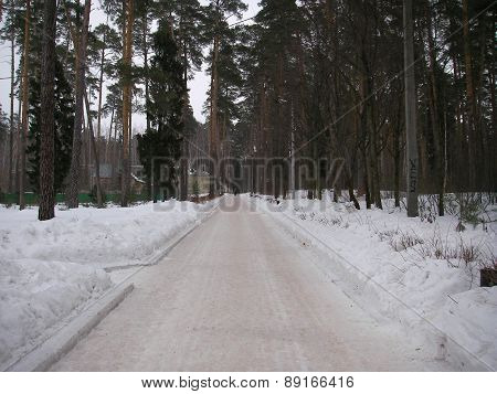 The road