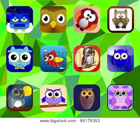 Owls set