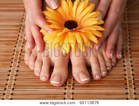 Care for beautiful woman legs with flower