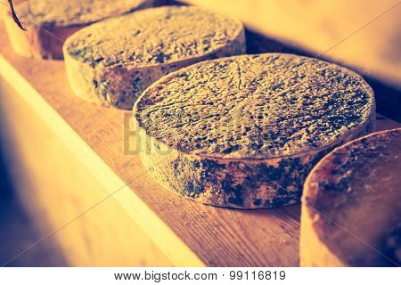 Vintage Photo French Goat Cheese Maturing In Basement