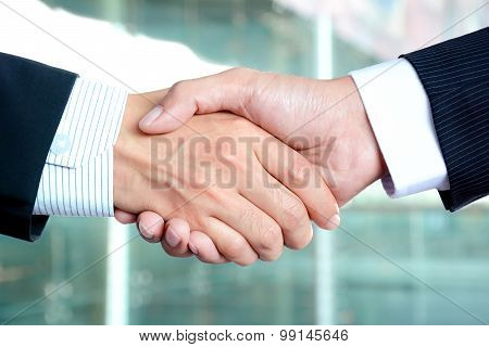 Handshake Of Businessmen - Success, Congratulation, Greeting & Business Partner Concepts