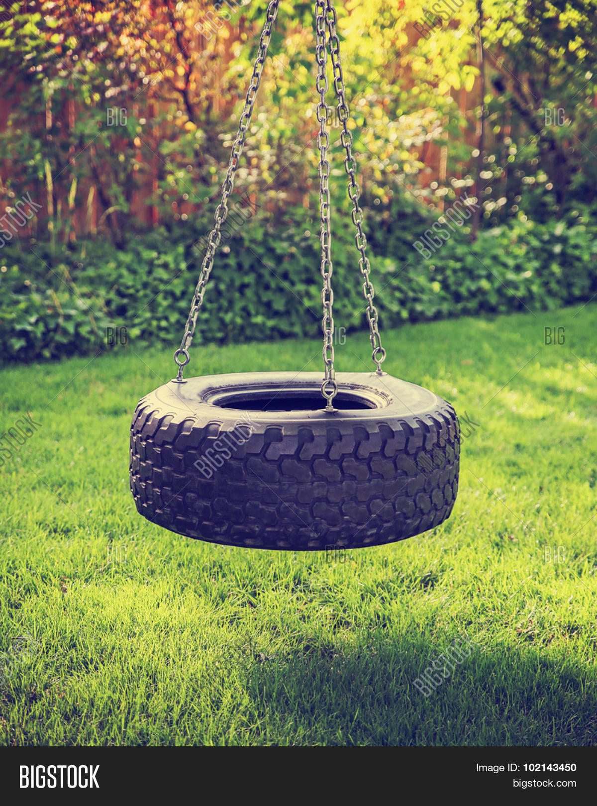 Old Rubber Tire Swing Image & Photo (Free Trial) Bigstock