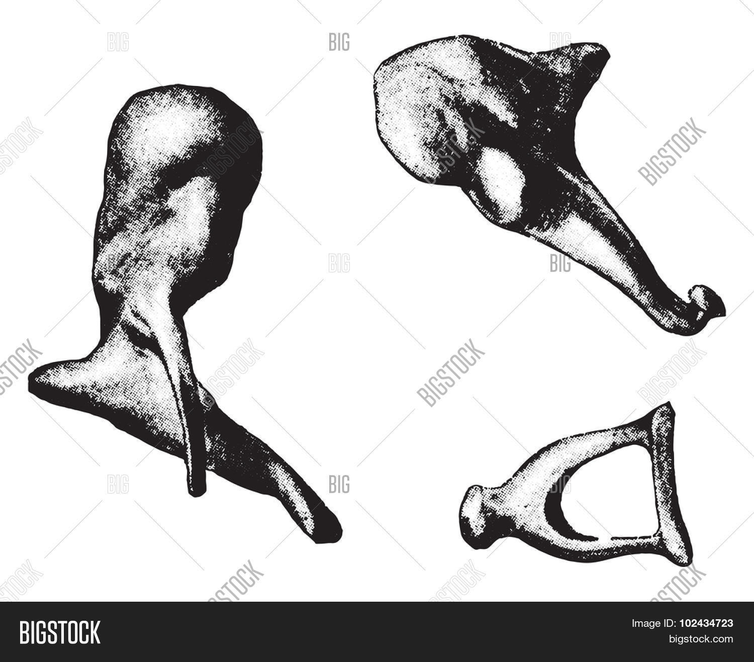 Bones Ear Hammer, Vector & Photo (Free Trial) Bigstock