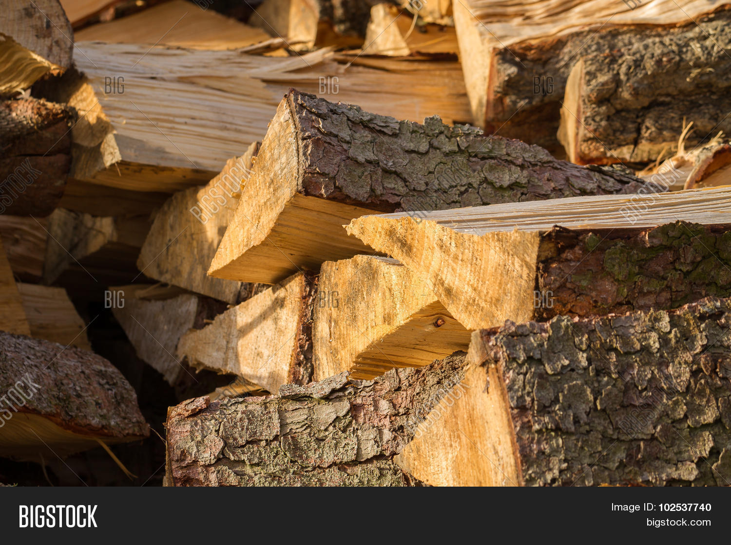 Fire Wood Spruce Image & Photo (Free Trial) Bigstock