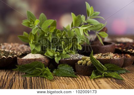 Natural medicine, herbs, mortar