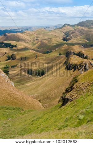 New Zealand Hills