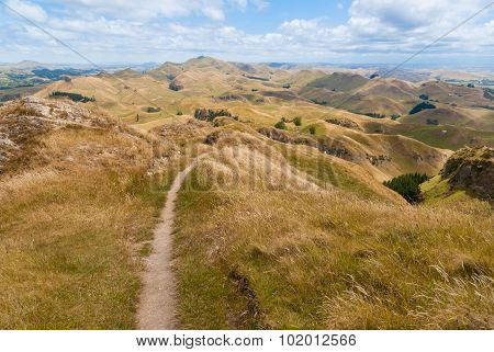 Te Mata Peak New Zealand
