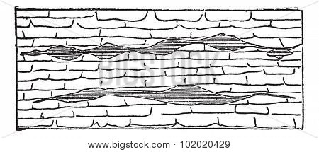 Geological Vein, illustration showing horizontal gash veins (shaded) within galena limestone (unshaded), vintage engraved illustration. Trousset encyclopedia (1886 - 1891).