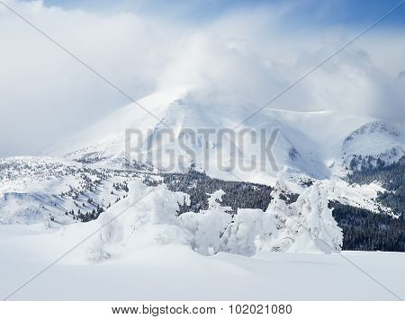 Winter landscape