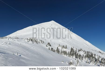 Winter landscape