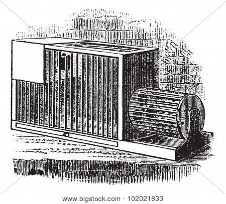 Rat cage, vintage engraving. Old engraved illustration of Rat cage. Trousset encyclopedia (1886 - 1891).