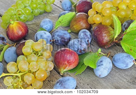 Fresh Ripe Autumn Fruits