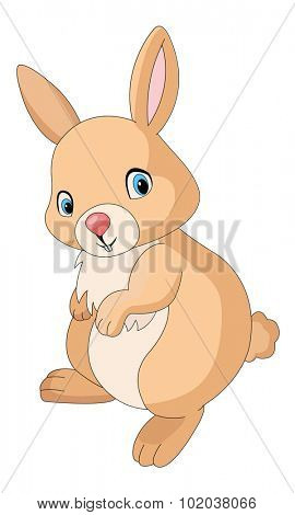Cute orange rabbit, vector illustration