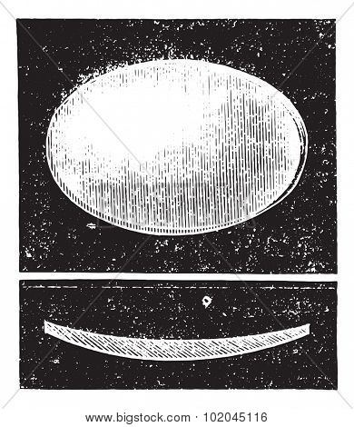 Biconvex lens, vintage engraved illustration. Usual Medicine Dictionary by Dr Labarthe - 1885.