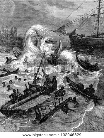 New Guinea. The natives were thrown over their canoes capsized, vintage engraved illustration. Journal des Voyage, Travel Journal, (1880-81).