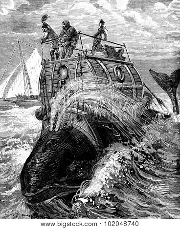 Frontispiece to travel back whale story illustrates, published by the newspaper Recreation, vintage engraved illustration. Journal des Voyages, Travel Journal, (1879-80).