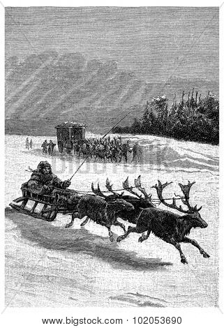 These sleigh drawn by three reindeer, vintage engraved illustration. Jules Verne Cesar Cascabel, 1890.