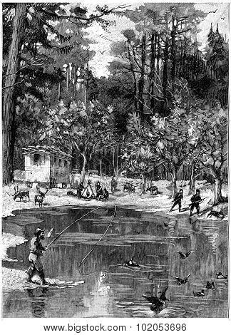 It was like an oasis, vintage engraved illustration. Jules Verne Cesar Cascabel, 1890.
