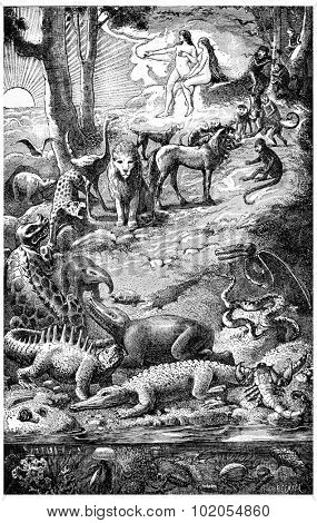 The ascent of life, vintage engraved illustration. Earth before man 1886.