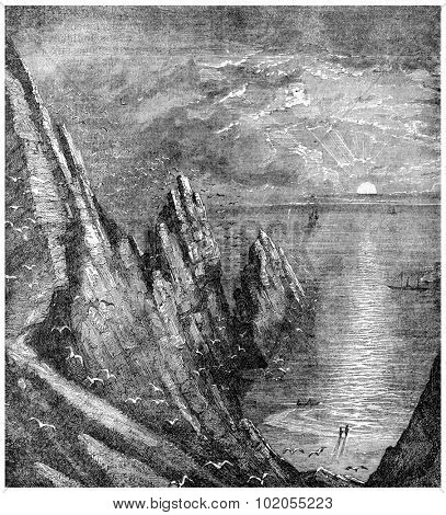 Guano, vintage engraved illustration. 