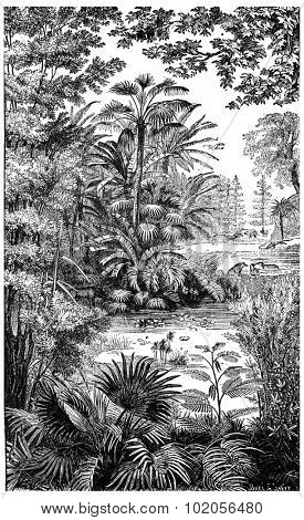 Landscape of the Miocene period in Lausanne, vintage engraved illustration. Earth before man  1886.