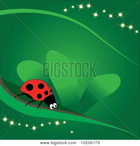 Coccinelle