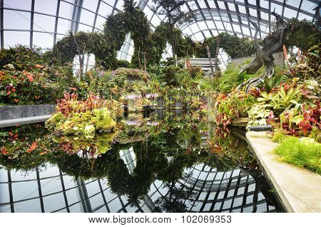 View Of Cloud Forest At Gardens By The Bay