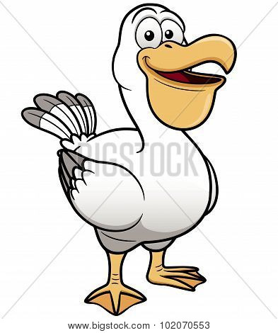Pelican