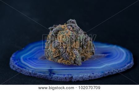 Granddaddy Purple Medicinal Medical Marijuana
