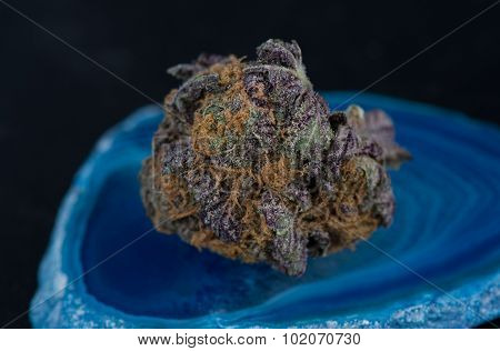 Grandaddy Purple Medicinal Marijuana