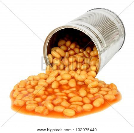 Baked Beans Pouring Out Of Can