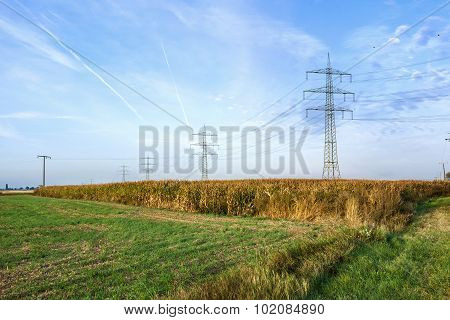 Sunrise With Field And Electric Pylon