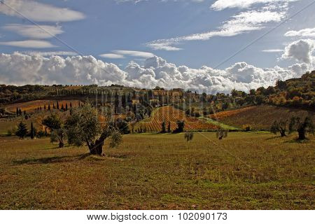 Tuscany
