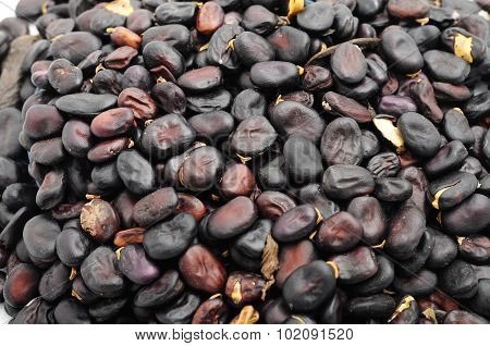 Beans Closeup