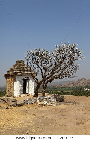 Tempelruinen und ein einsamer Baum, Hampi.