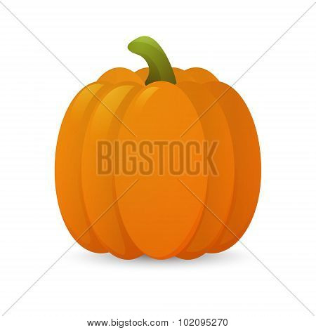 Pumkin.