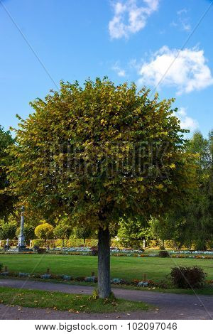 The photo shows autumn peyzazh.Ochen beautiful places.