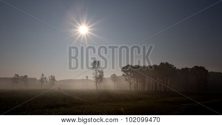 Foggy Landscape In Plains