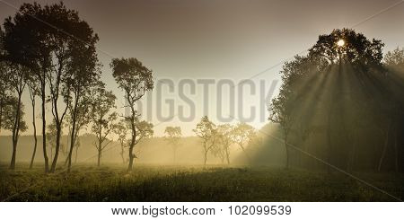 Foggy Landscape In Plains