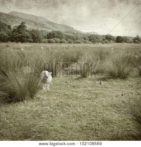 Textured Old Paper Background