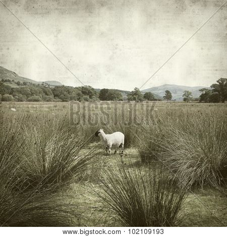 Textured Old Paper Background