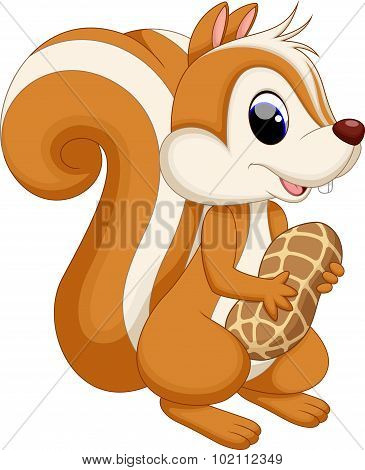 Cute squirrel cartoon