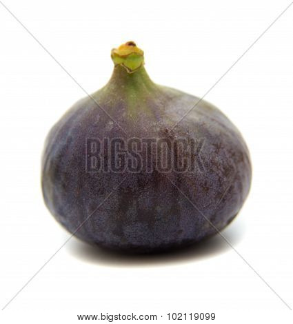 Ripe Purple Figs