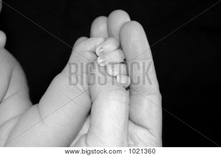 Newborn/Adult Hands